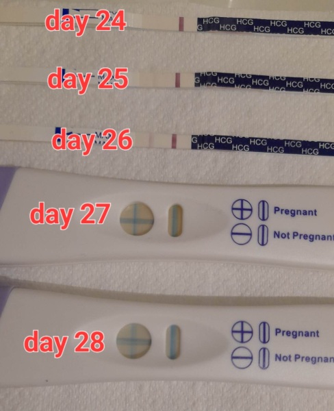 2 week wait ICSI