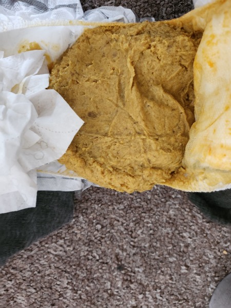 Weird poo - WARNING PHOTO