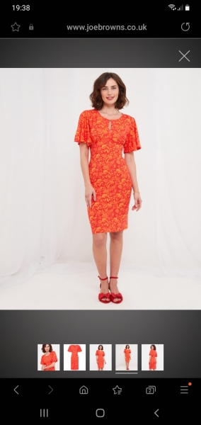 Opinions on this dress please