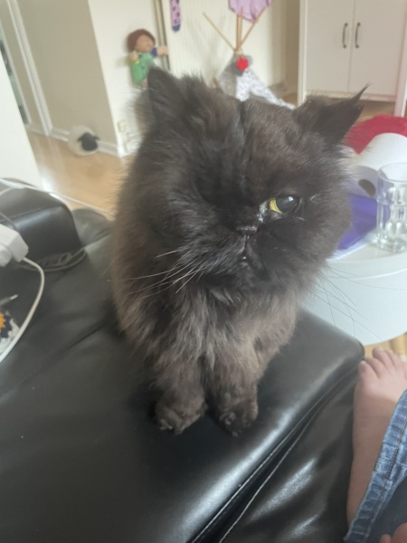 I think you have snacks I would like