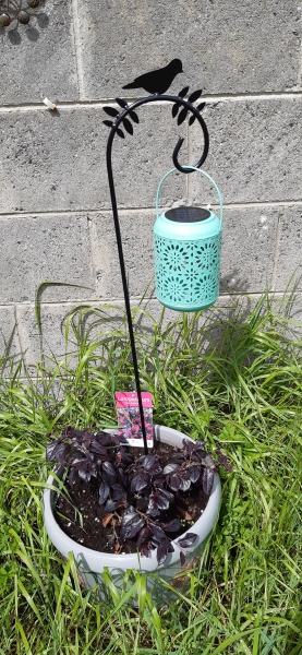 Advancing into April - Frugal Friends still being, er, Frugal.