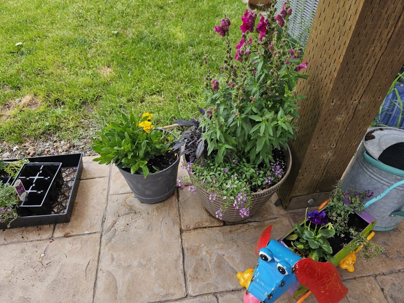 Flying into May - Fledglings welcome all as we conquer the clutter