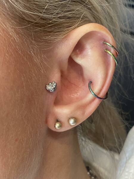 Show me your "curated ears"