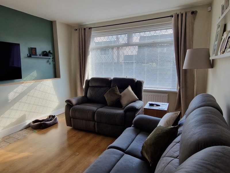 Curtains help - pic of dog included!