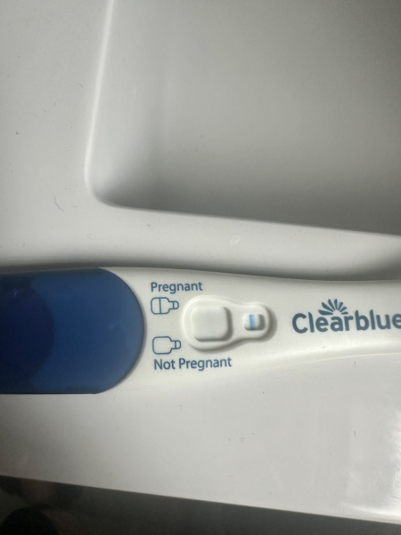 Ovulating after miscarriage