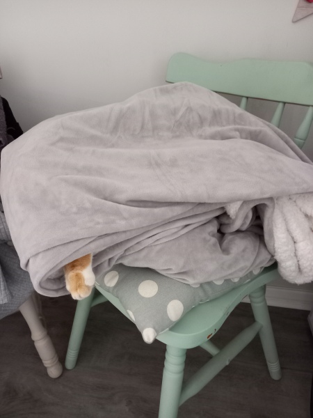 Show me your cats hiding places 