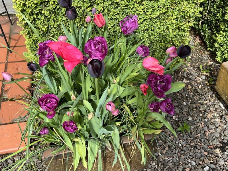 Show Us Your Pictures 6