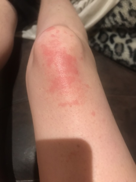 Does anyone know what this is?