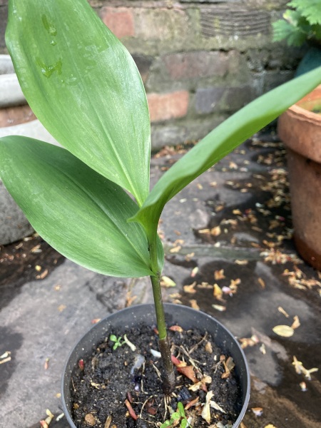 What is this please? 