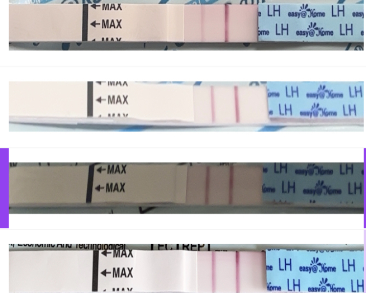 TTC May 2023 💖✨ previous MC March 2023