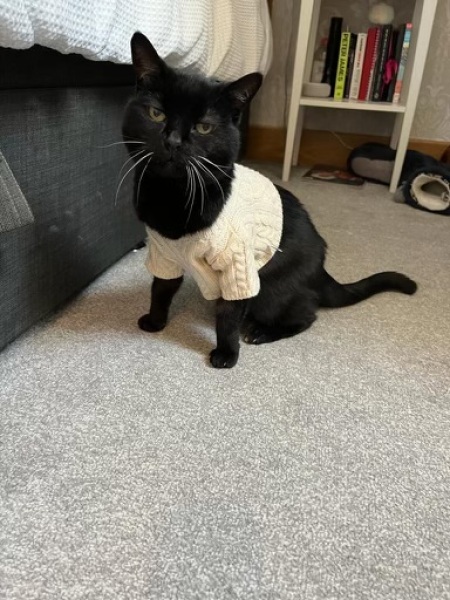 Advancing into April - Frugal Friends still being, er, Frugal.