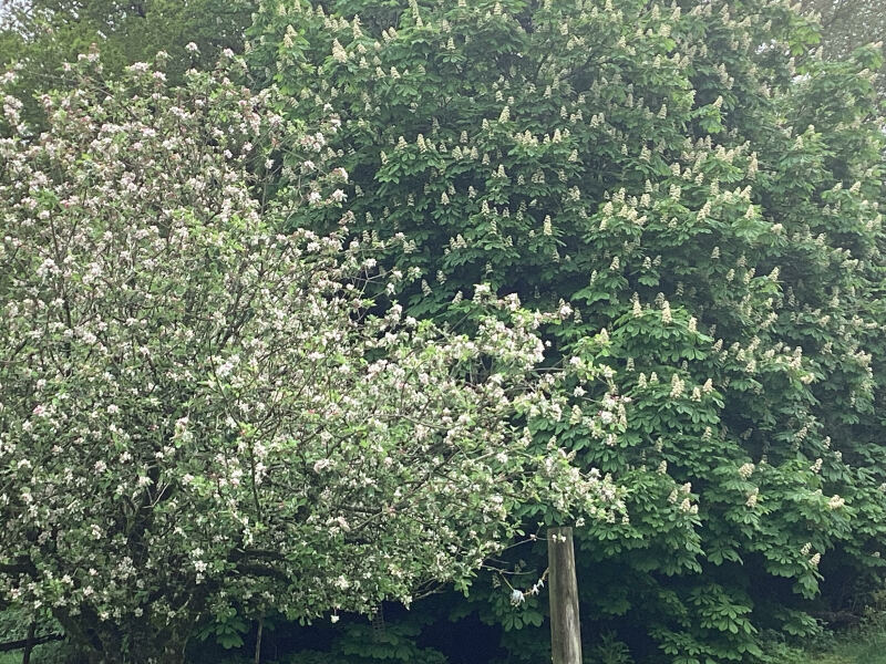 Thread 7 - TalkLair: “In fact it’s an oblate spheroid”