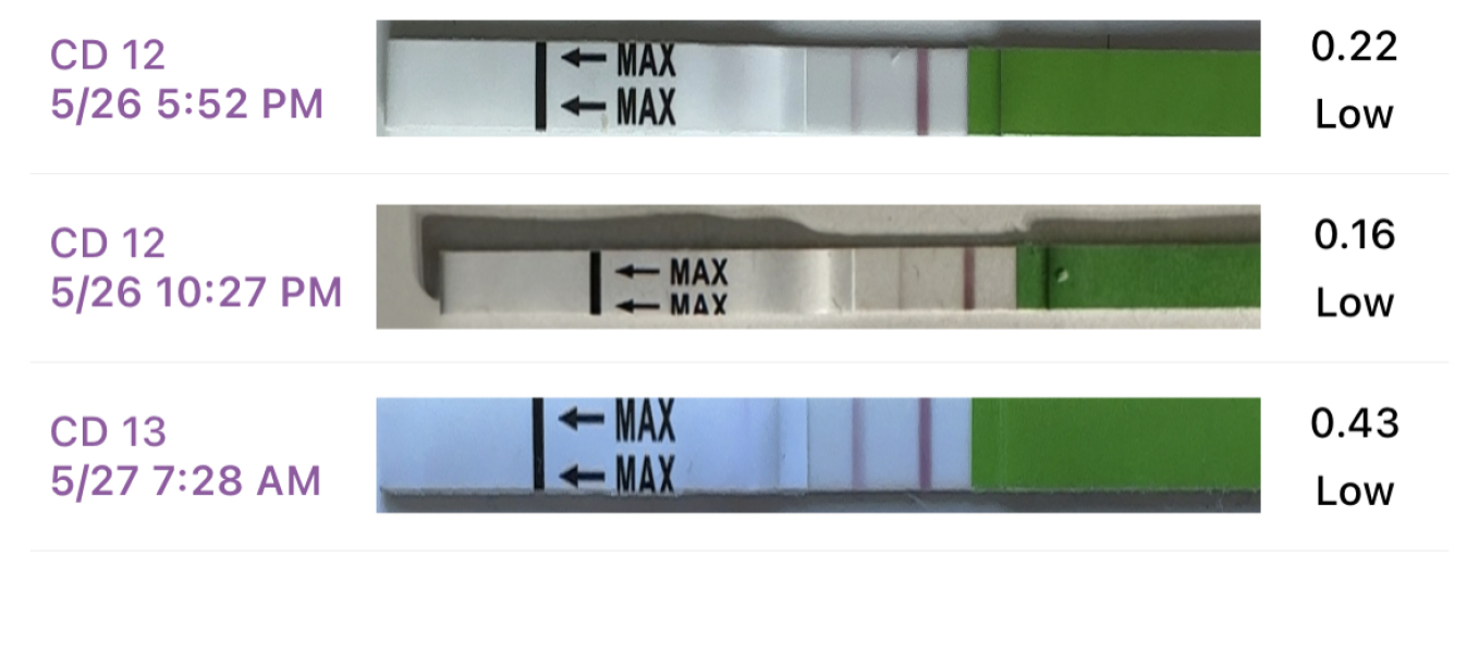 TTC May 2023 💖✨ previous MC March 2023