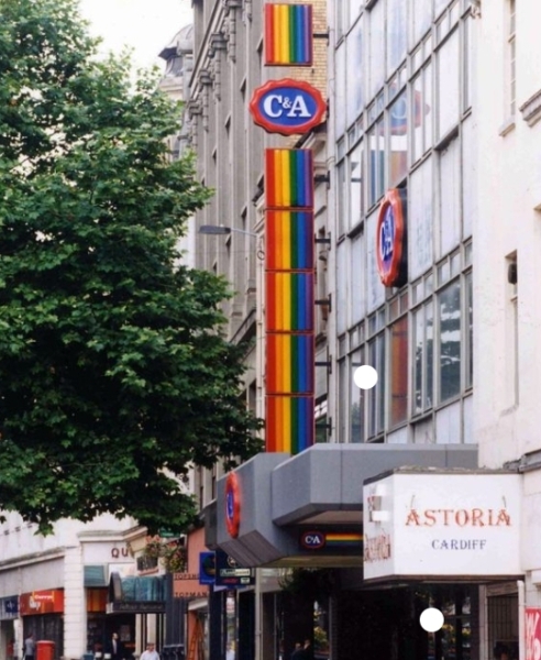 Gender critical pride flag?