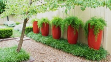 How to cover neighbours ugly fence