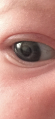 Will my babies eyes go brown?
