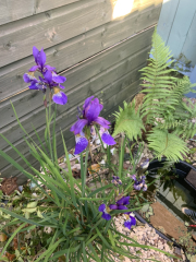 Show Us Your Pictures 6