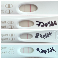 ERA/Alice/Emma infertility thread graduates/pregnancies