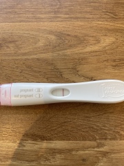 IVF April 2023