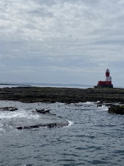 Best day out in Northumberland?