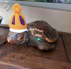 It's Crochet, Knit & Natter 10: New Year, New Yarn, New Thread!