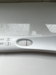 BFP 12DPO 
