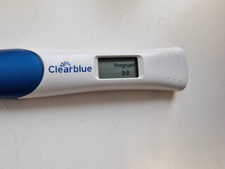 13 dpo 2-3 weeks Clearblue