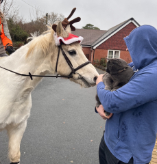 Are horses just giant puppies then? 