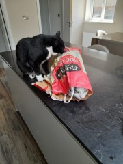 Show me your cats hiding places 