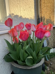 Show Us Your Pictures 6