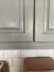 To absolutely hate my house