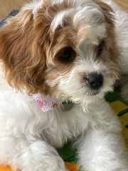 50 Books Challenge 2023 Part Five