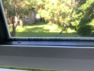 Double glaze condensation and mould 