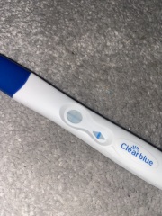 7DPO tests