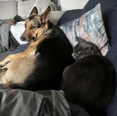 Regret getting puppy - 6 days in