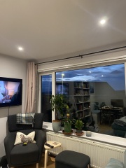 Curtains help - pic of dog included!