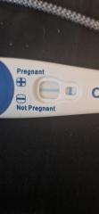 Clear blue test. Evap line or positive
