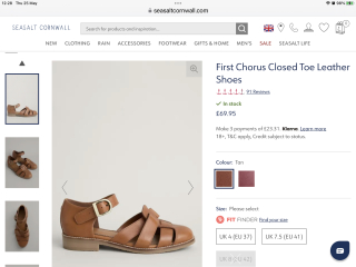 Anyone know of any similar shoes?