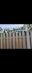 For being annoyed at neighbour’s balls kicked/thrown into garden 