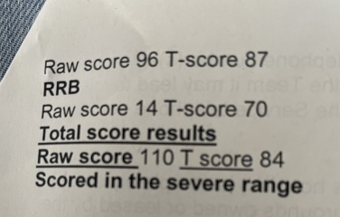 ASD scoring system