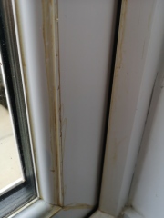 Guess the stain 