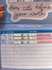 OPK