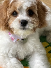 50 Books Challenge 2023 Part Five