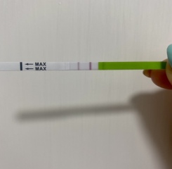 TTC May 2023 💖✨ previous MC March 2023