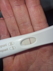 5 weeks since early miscarriage, positive FRER?