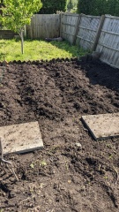 The Vegetable Patch Mark 2