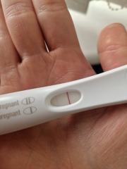 5 weeks since early miscarriage, positive FRER?