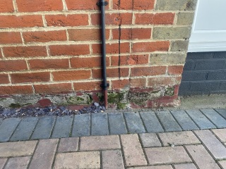 Moss growing on bricks below DPC