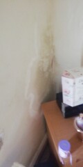 Condescension or damp? 