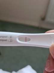 Spotting 4 weeks pregnant